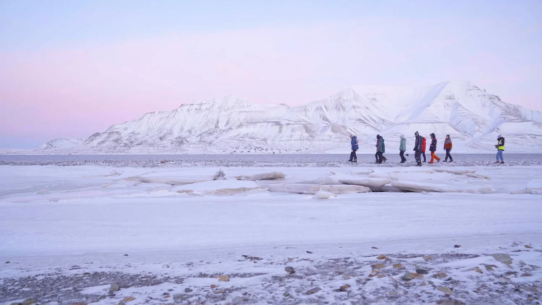 Cameraless in the Arctic