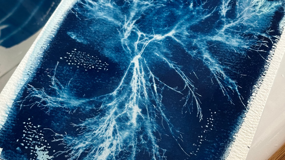 Advanced Cyanotype Workshop at Bowhouse, Fife