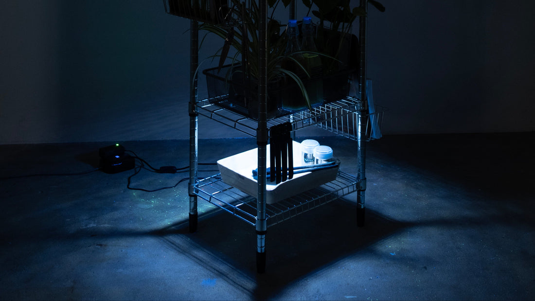 The Ecological Wetroom™ at Photoworks Festival 2026