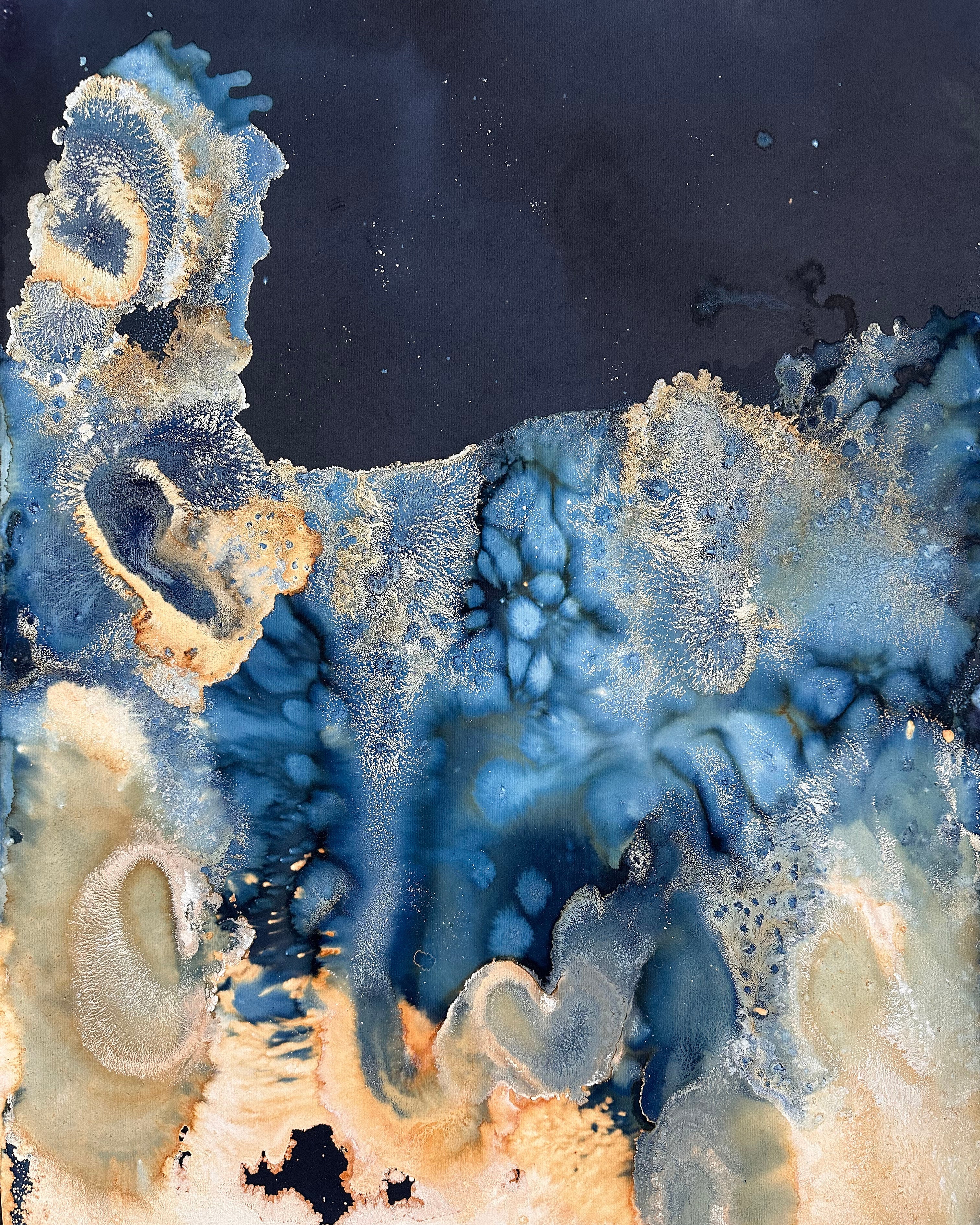 And So I Watch You From Afar