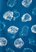 Hair Nets