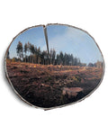 Clearing II