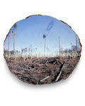 Reforestation