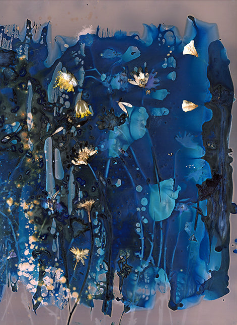 The Most Beautiful Anthropocene #08