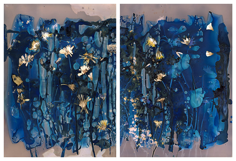 The Most Beautiful Anthropocene #08