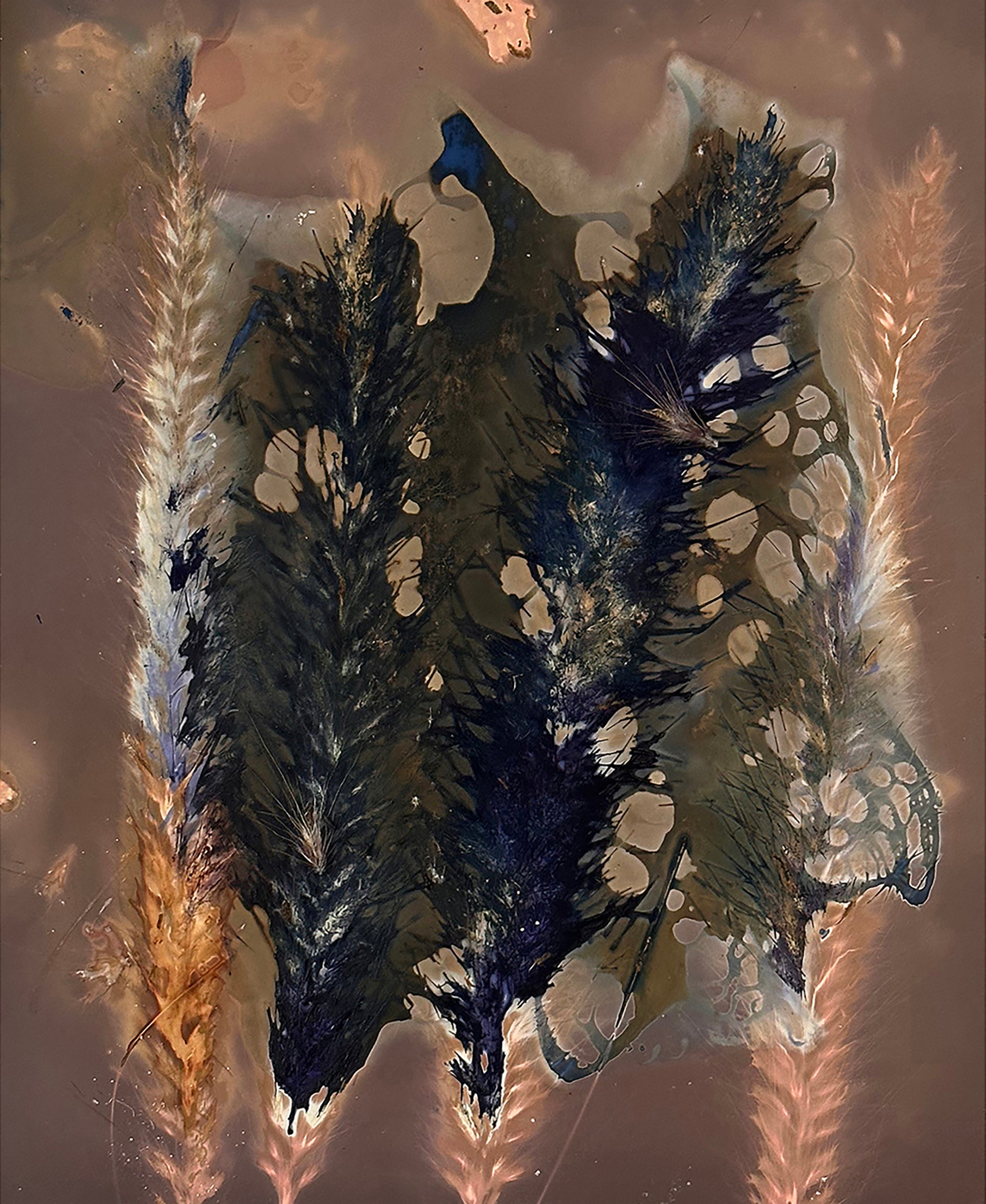 The Most Beautiful Anthropocene #16