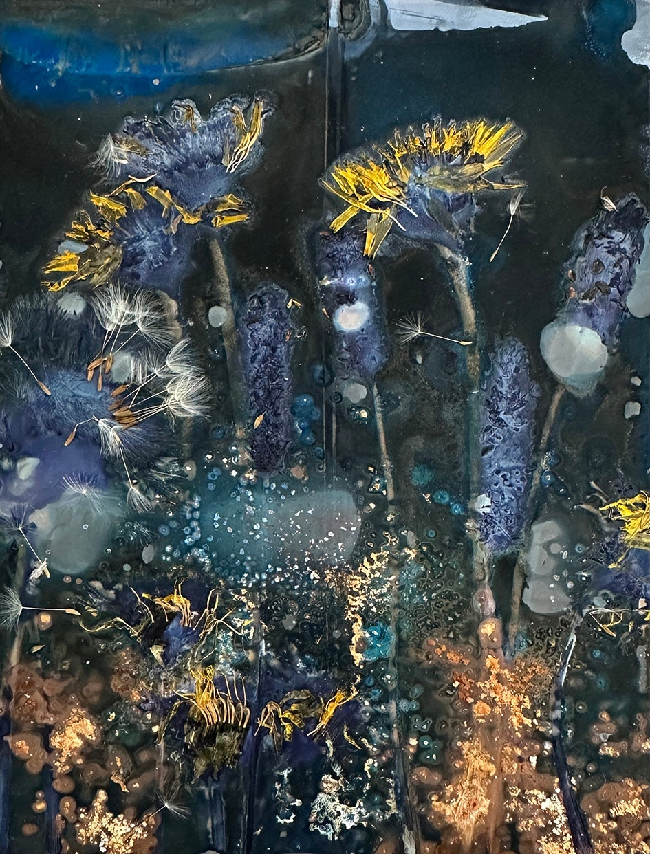 The Most Beautiful Anthropocene #18