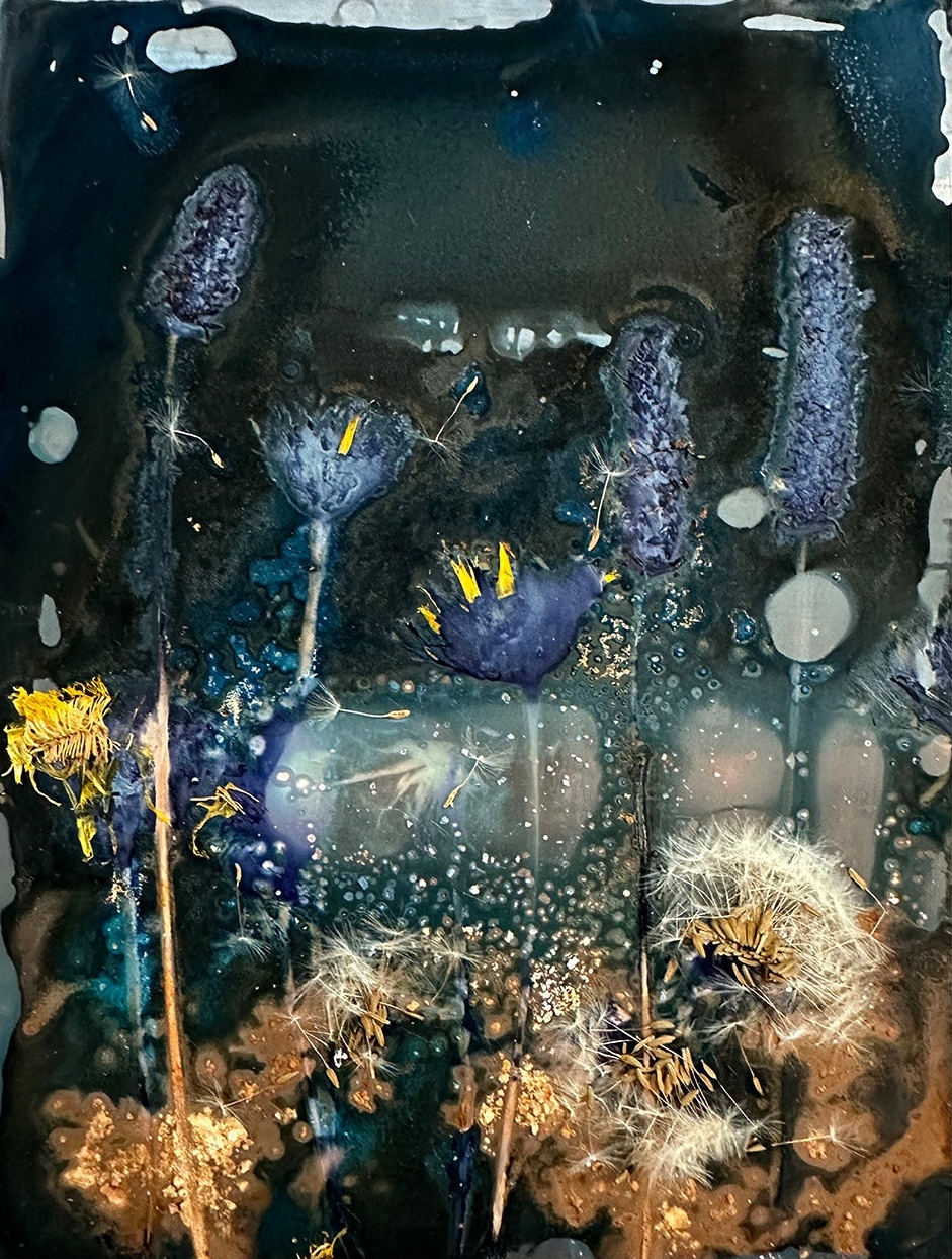 The Most Beautiful Anthropocene #18