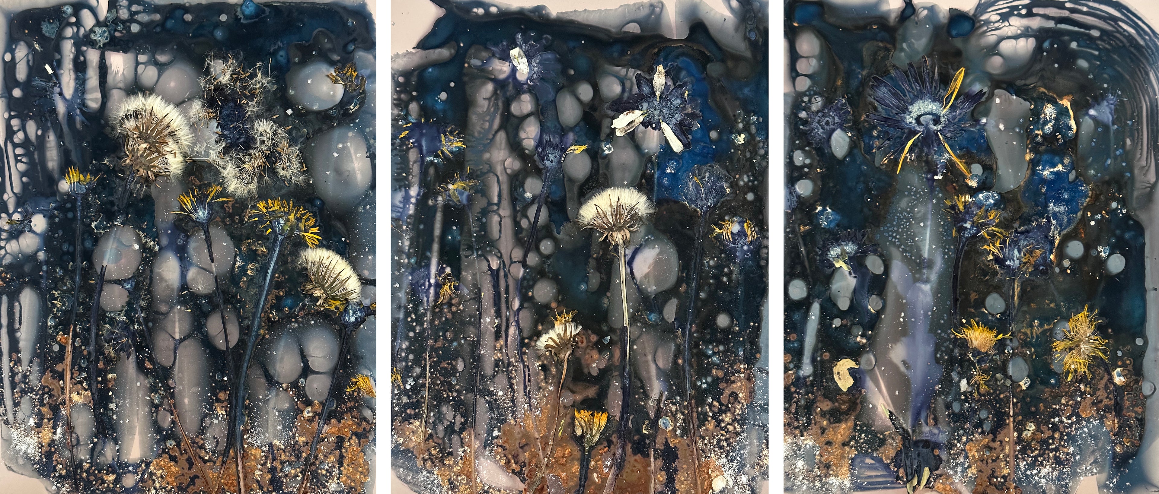 The Most Beautiful Anthropocene #19