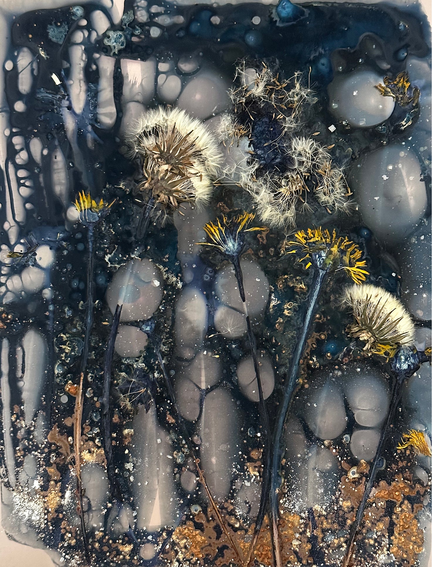 The Most Beautiful Anthropocene #19