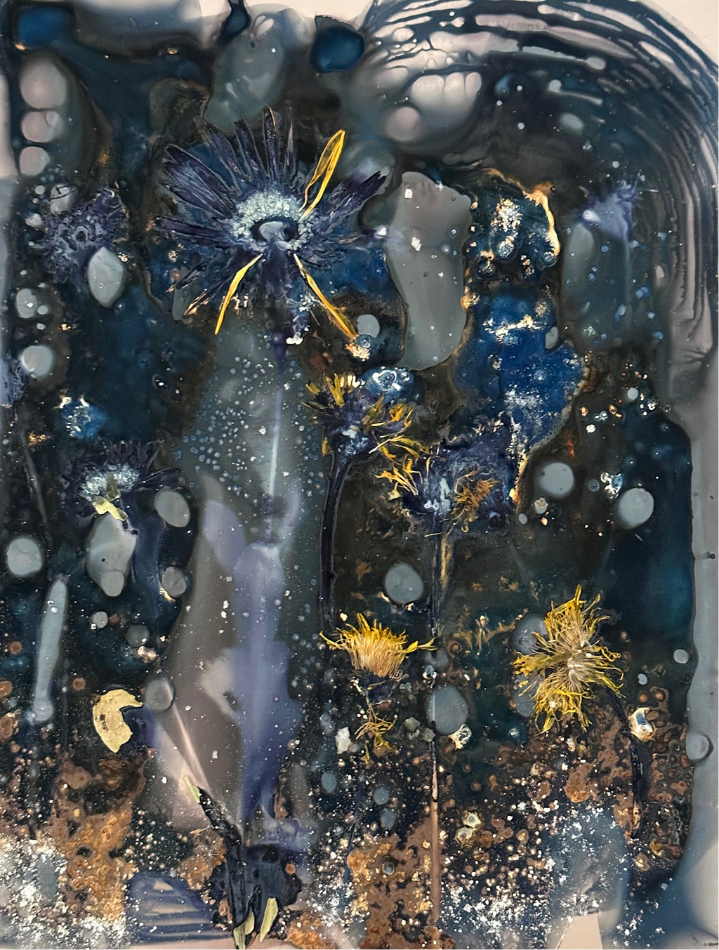 The Most Beautiful Anthropocene #19