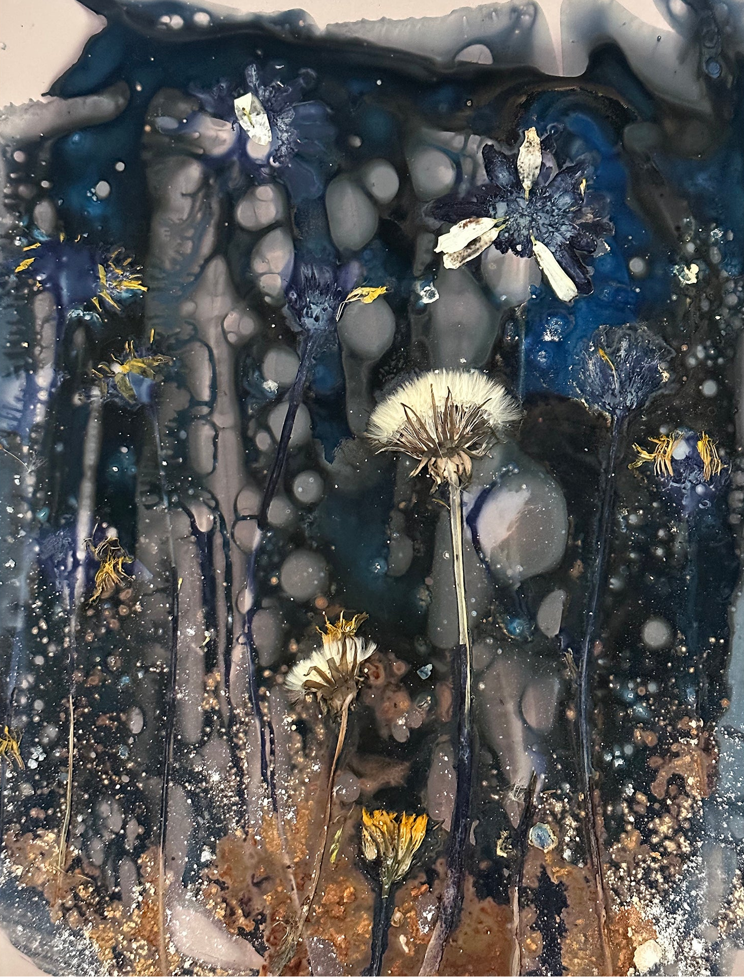 The Most Beautiful Anthropocene #19