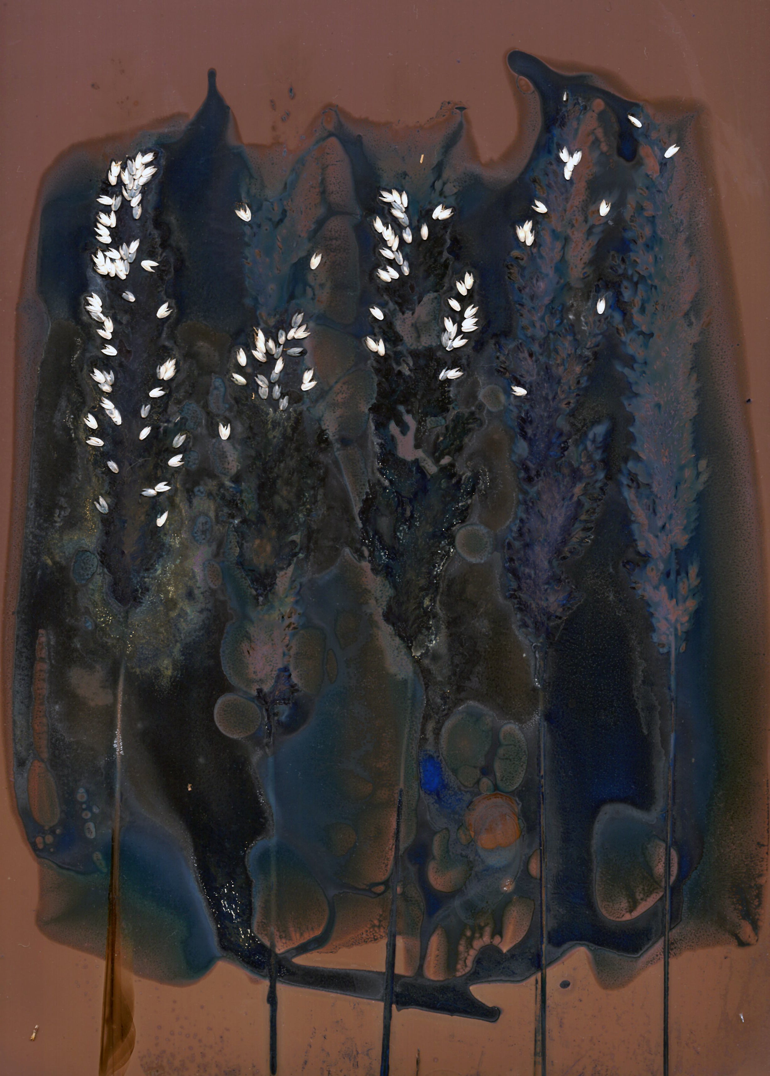 The Most Beautiful Anthropocene #20