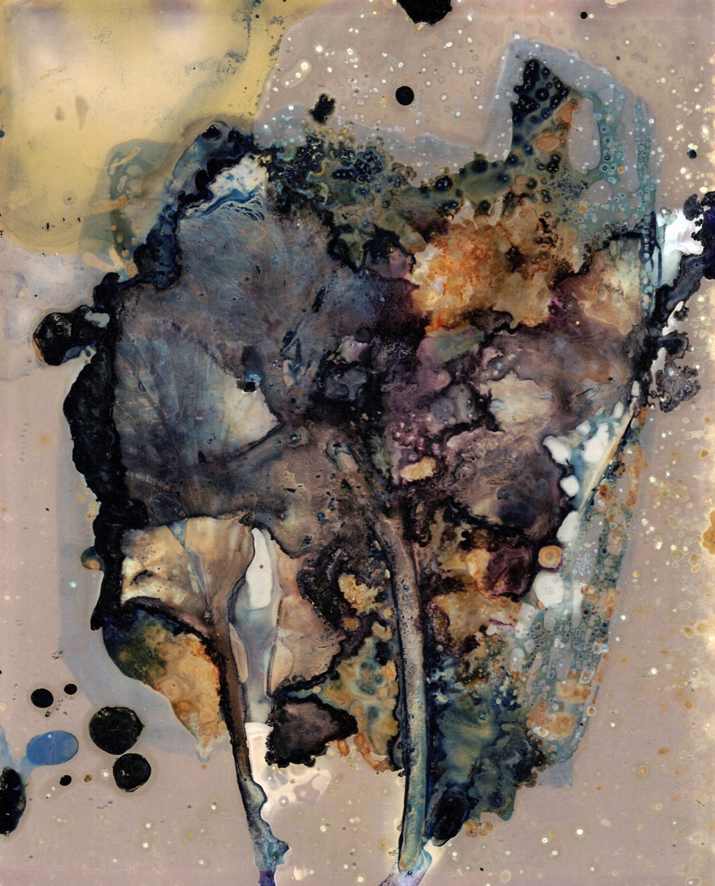 The Most Beautiful Anthropocene #21