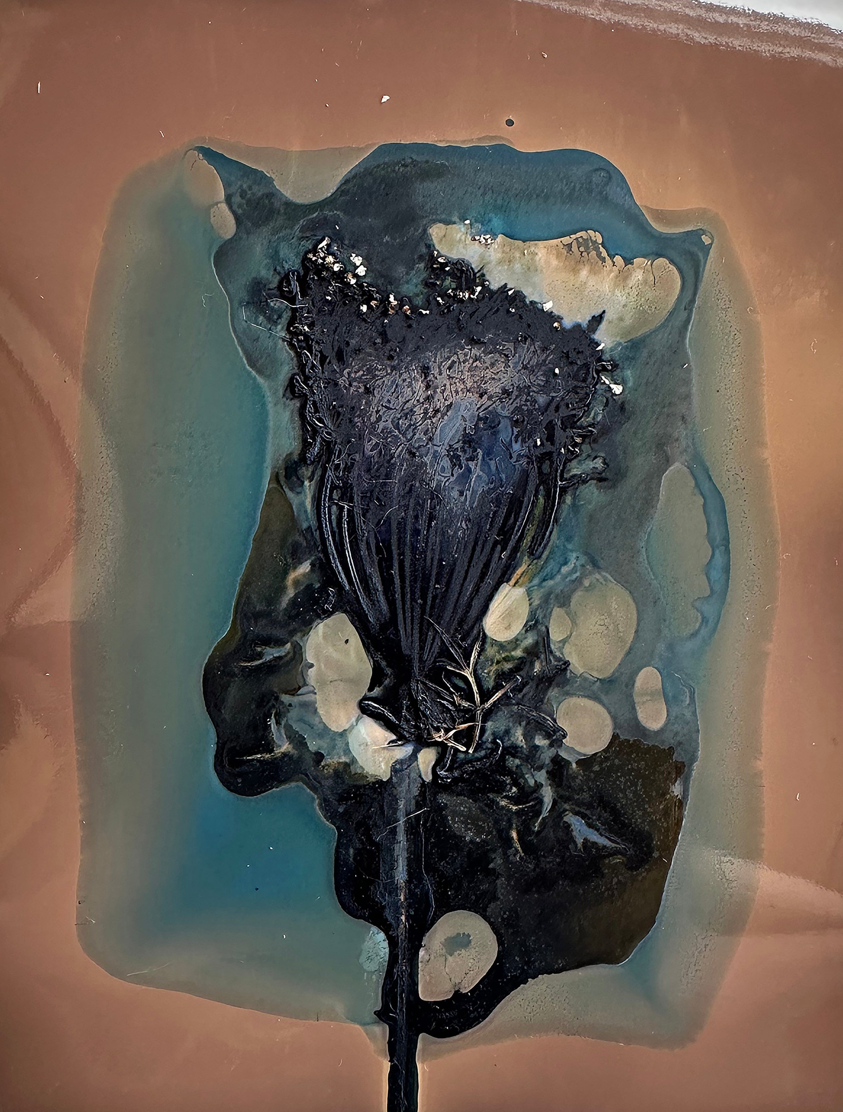 The Most Beautiful Anthropocene #39