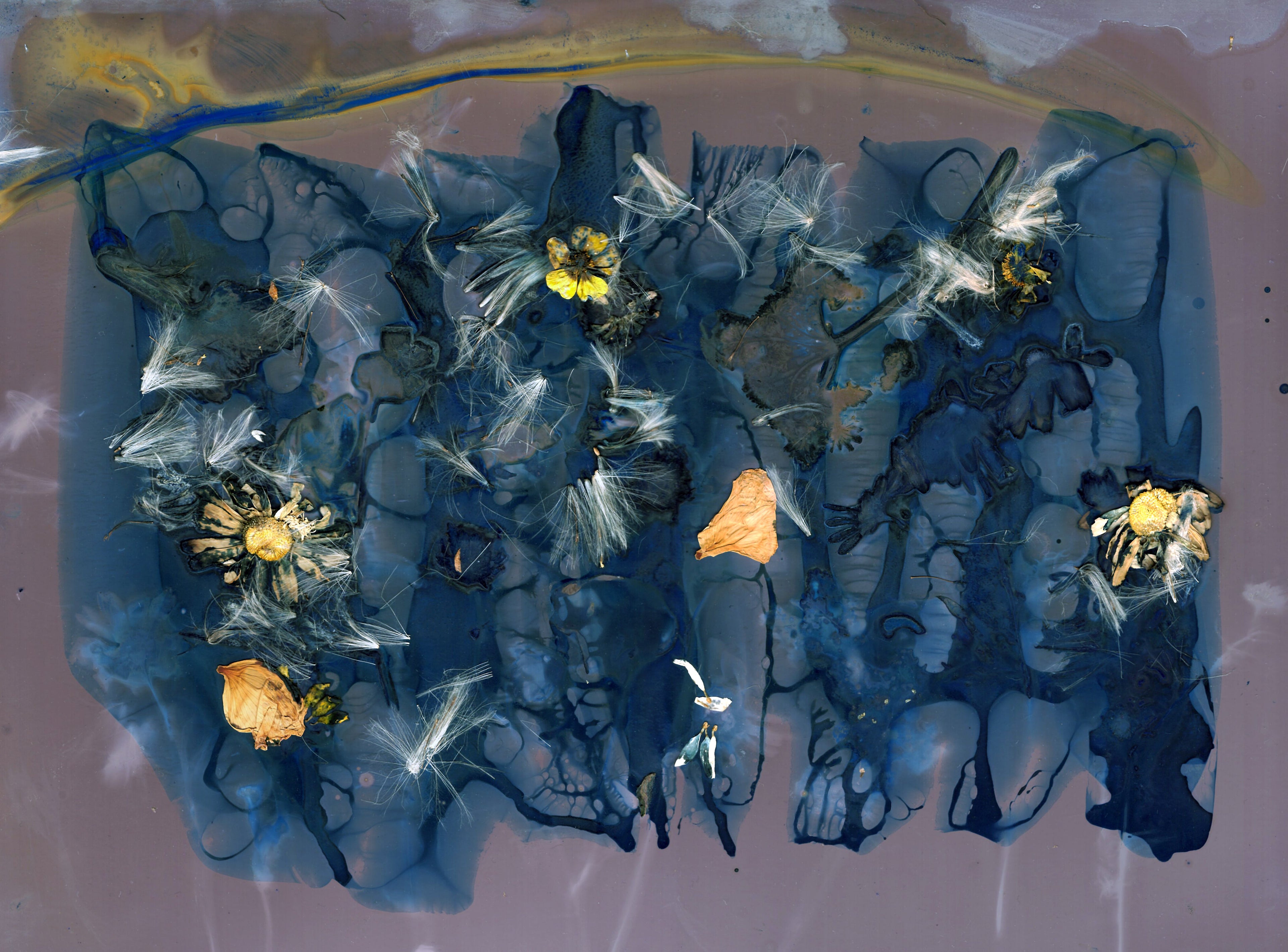 The Most Beautiful Anthropocene #44