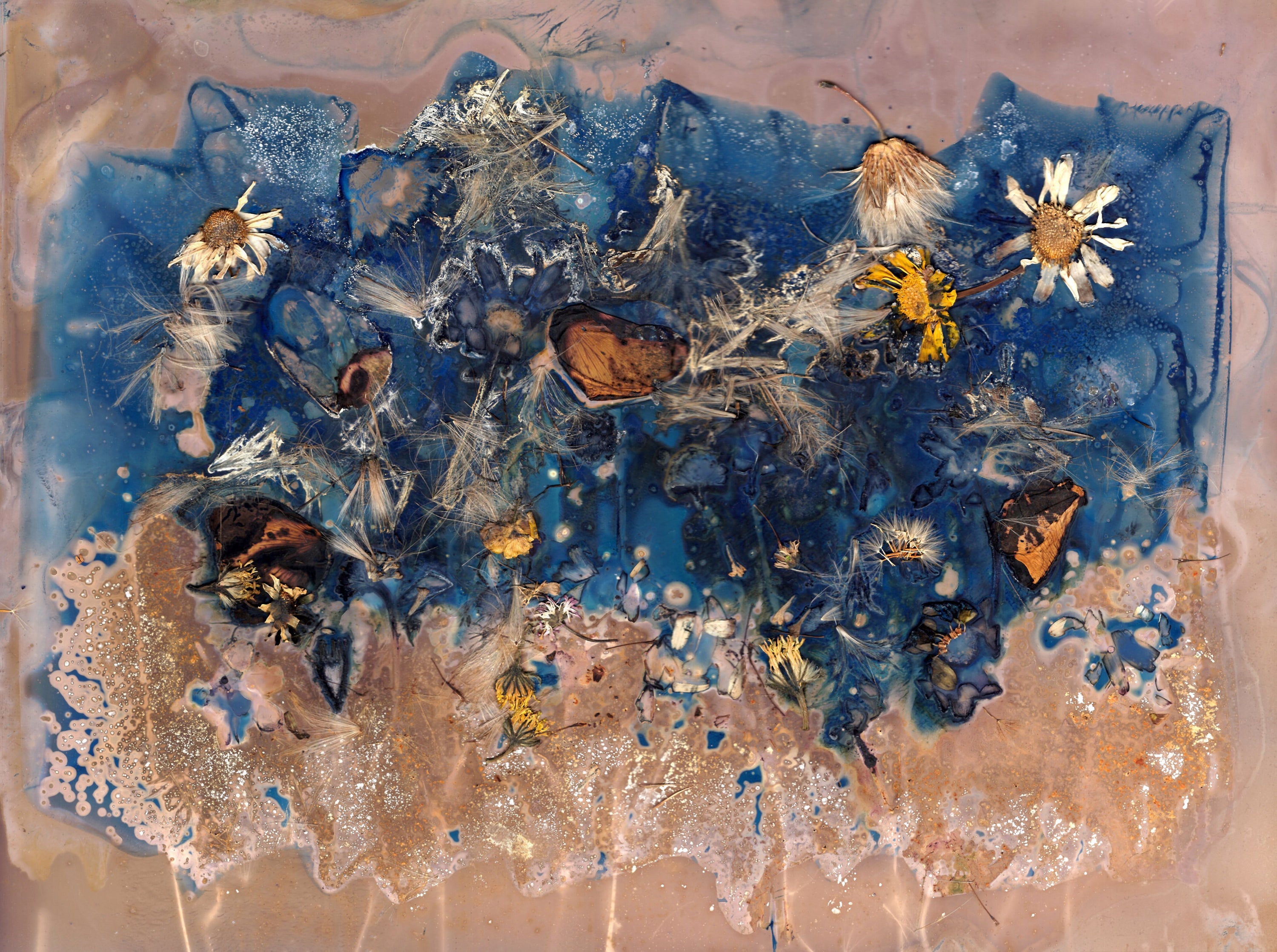 The Most Beautiful Anthropocene #51