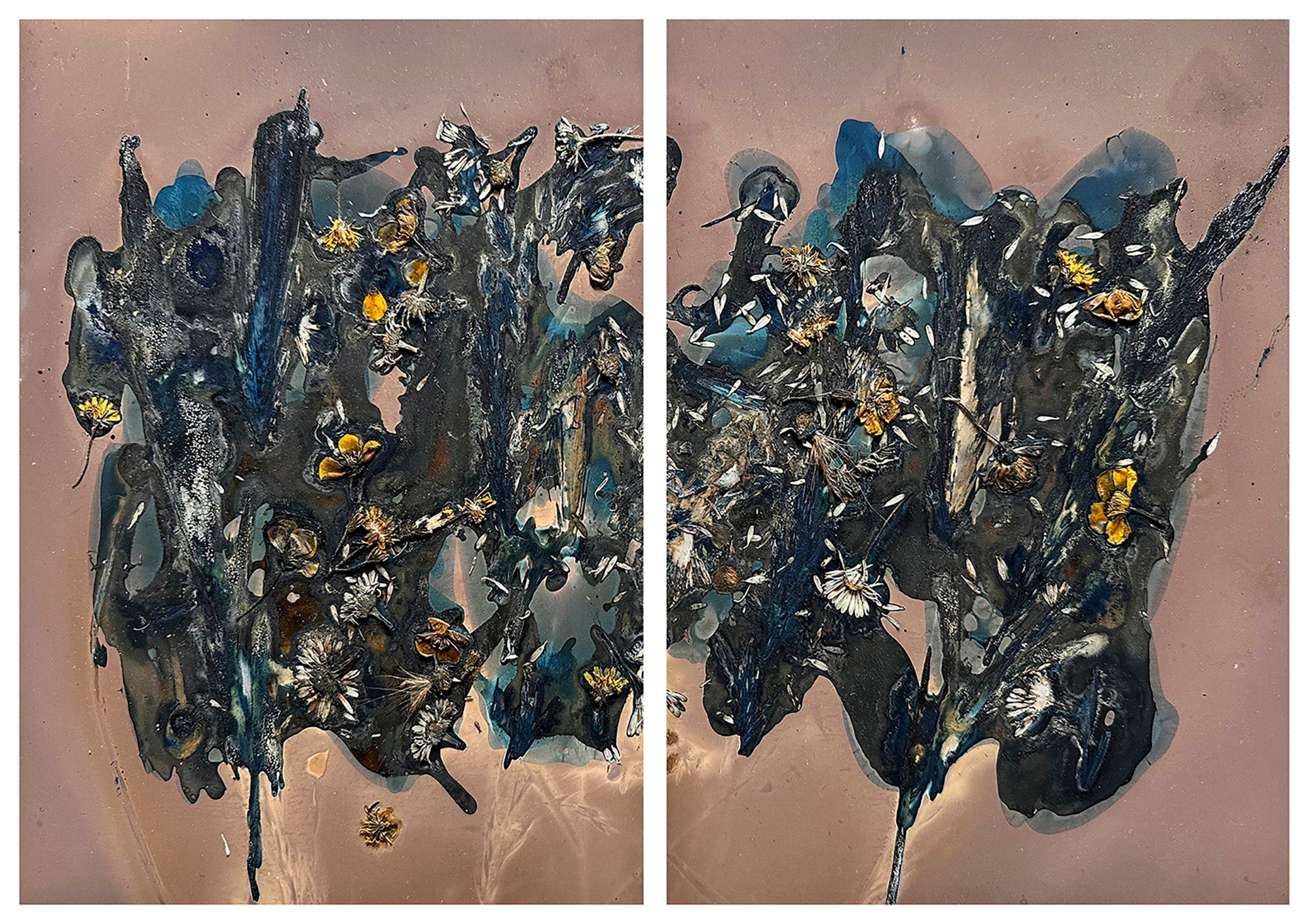 The Most Beautiful Anthropocene #52