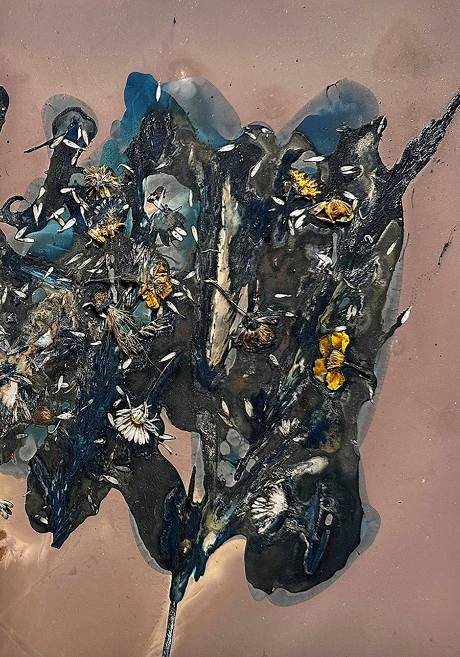 The Most Beautiful Anthropocene #52