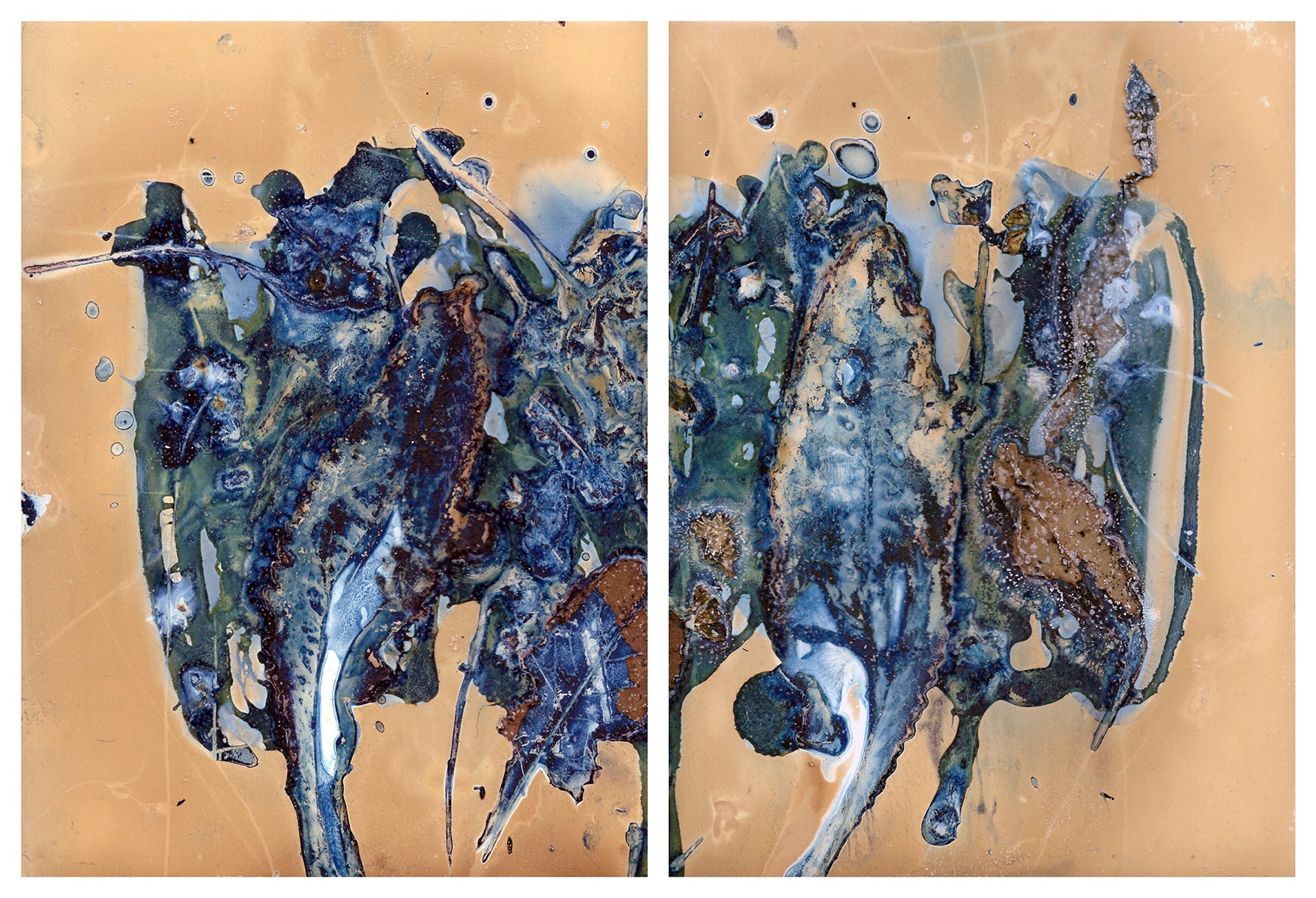 The Most Beautiful Anthropocene #53