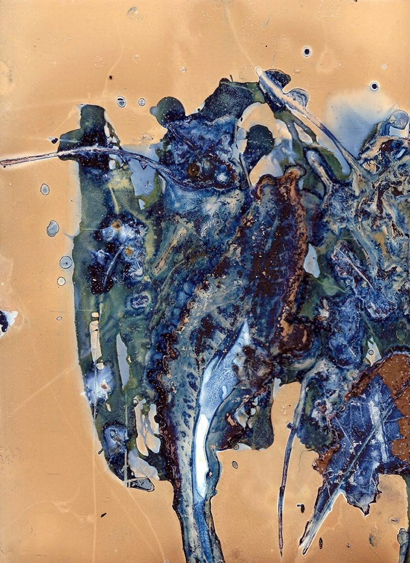 The Most Beautiful Anthropocene #53