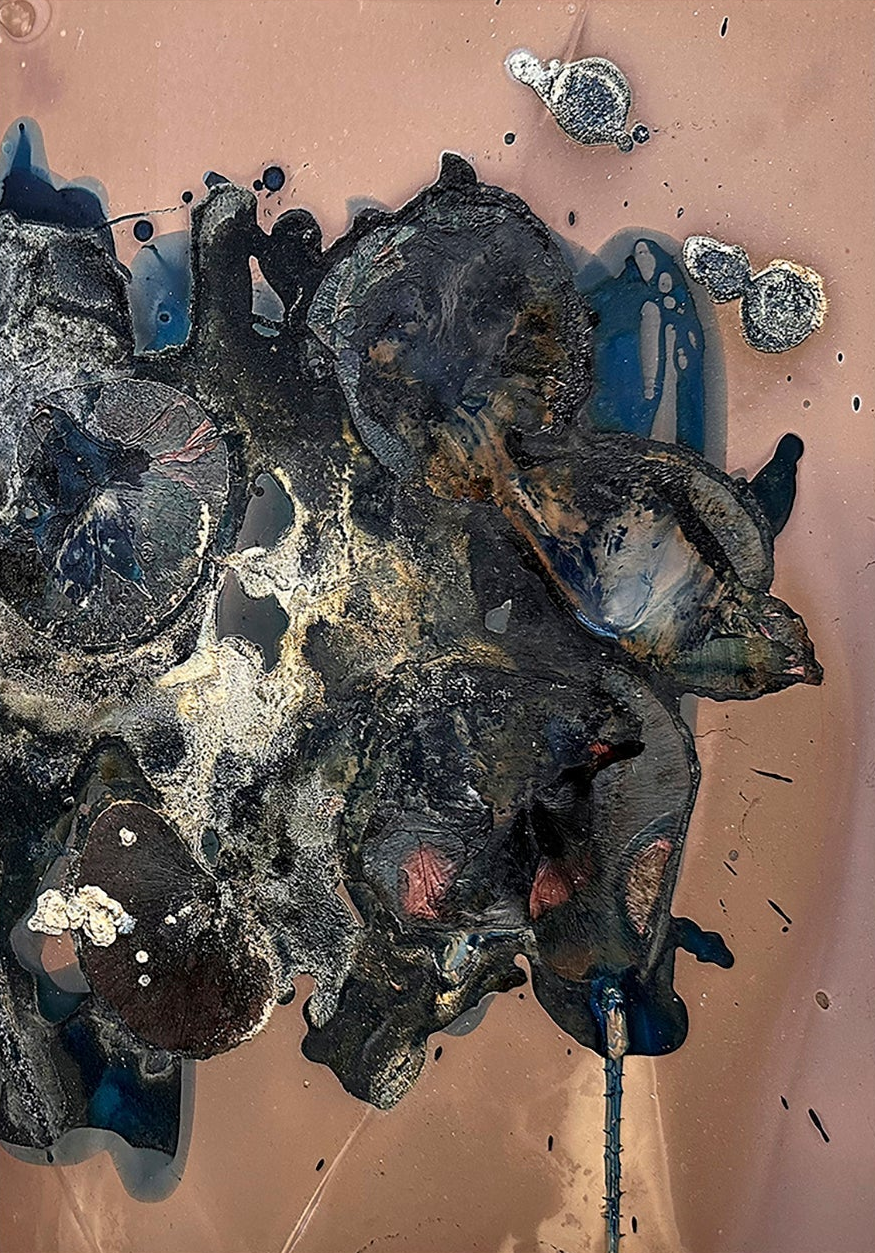 The Most Beautiful Anthropocene #54