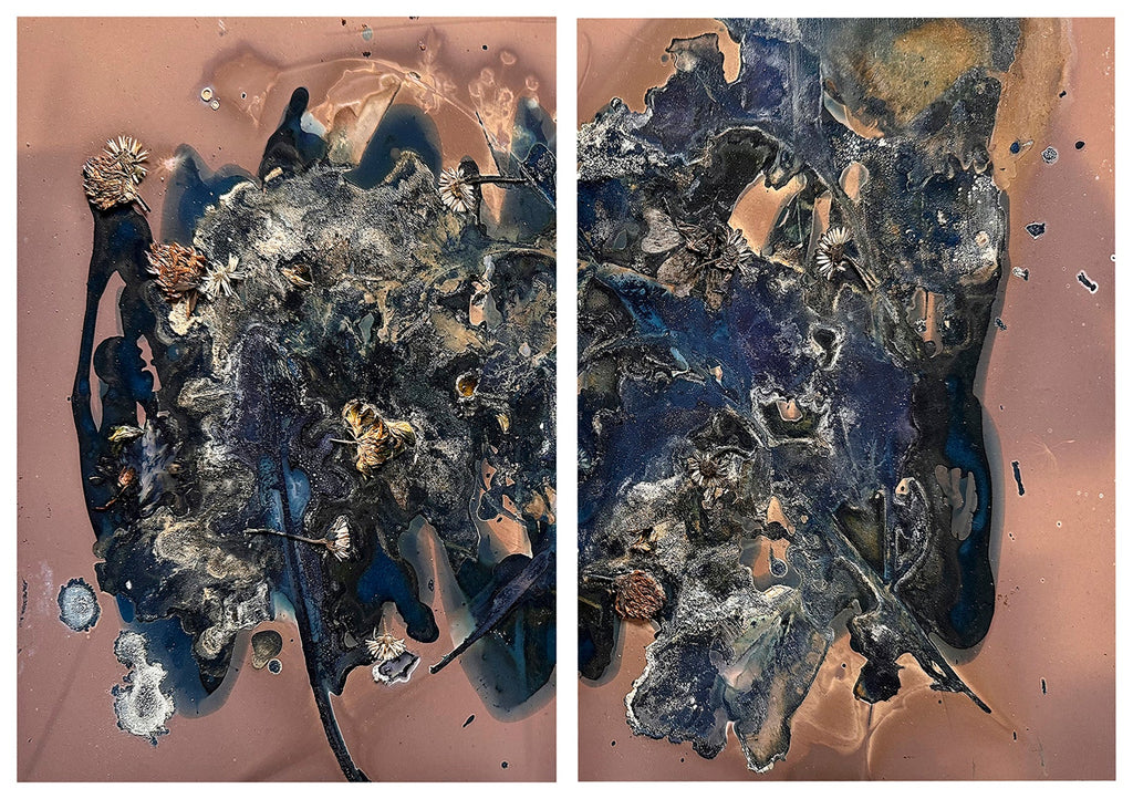 The Most Beautiful Anthropocene #57