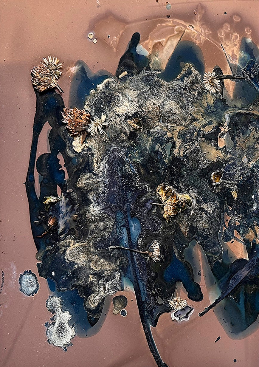 The Most Beautiful Anthropocene #57